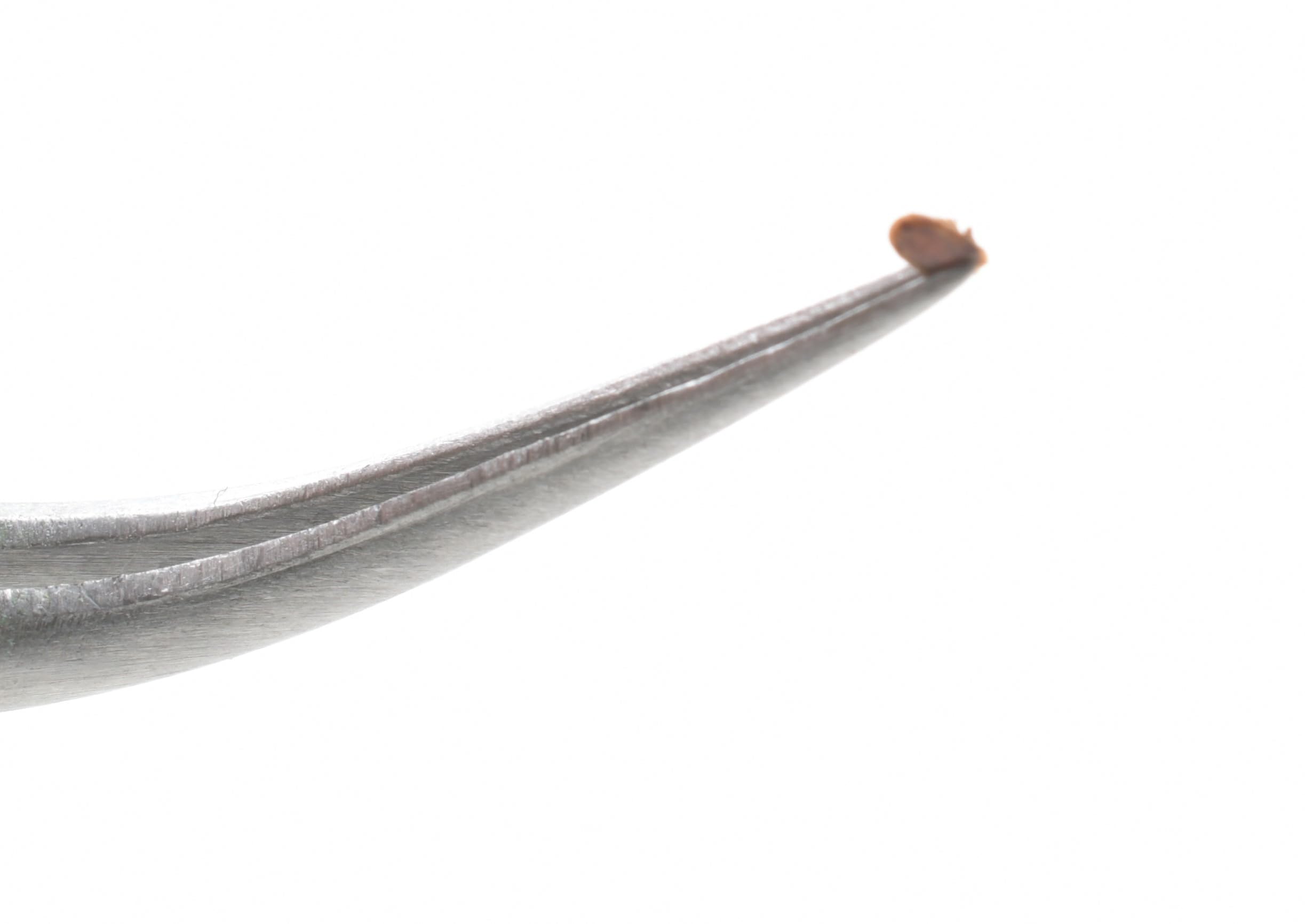 Tick Removal Kit, Precision Stainless Steel Tools, Carry Case, Tick Id Card, Removes All Tick Species And Sizes. Dog, Deer, Lone