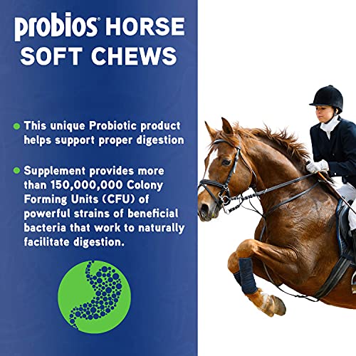 Probios Horse Soft Chews, Apple Flavor, Net Weight 1.32 lbs(600 Grams)