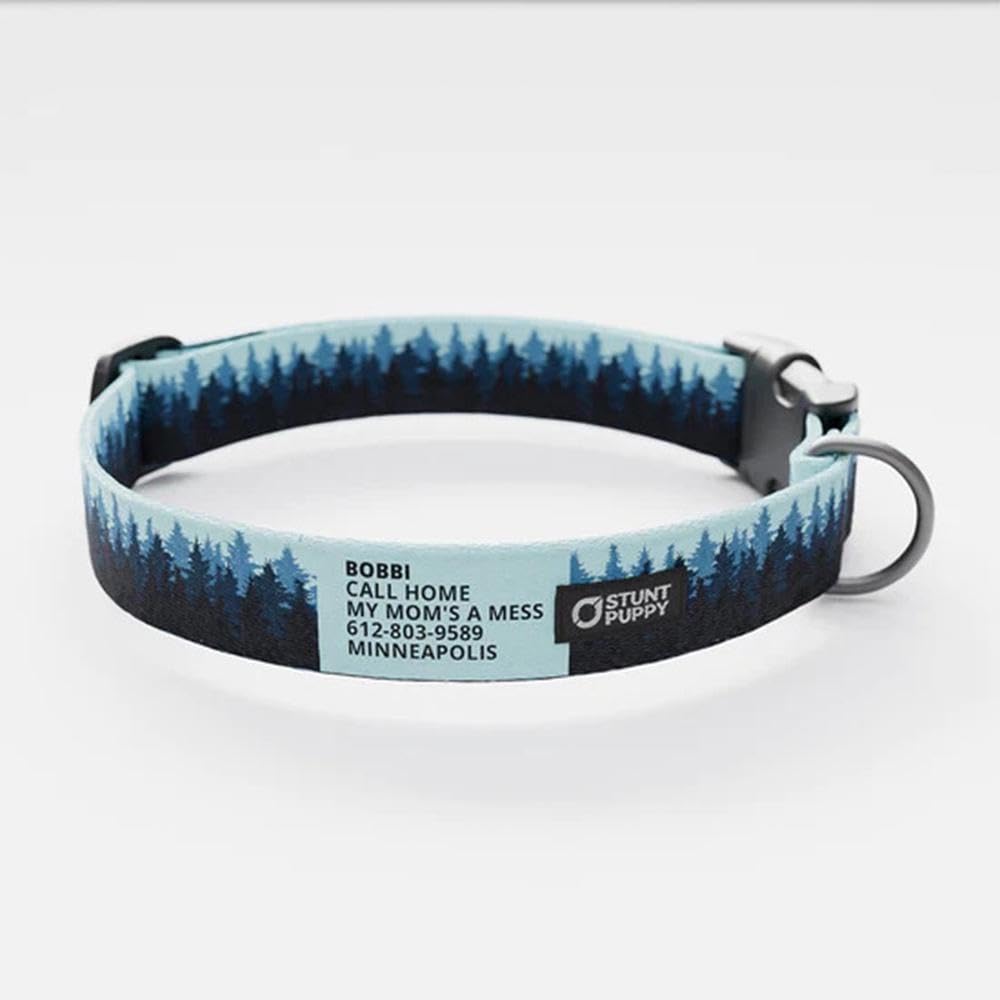 Pines Blue Everyday Collar, Large