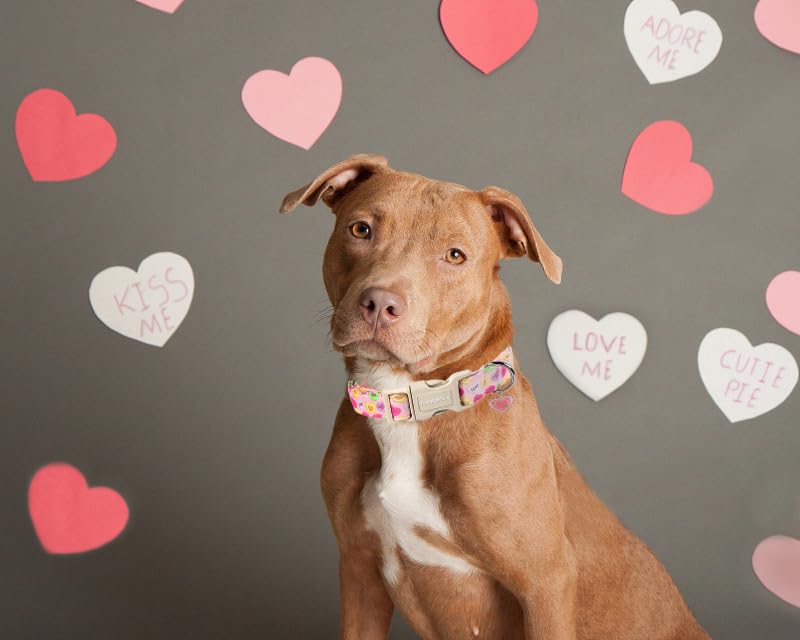 Lionet Paws Valentine'S Dog Collar- Cute Pink Sweet Heart Dog Collars With Plastic Buckle, Light Adjustable Dog Collars For Medi