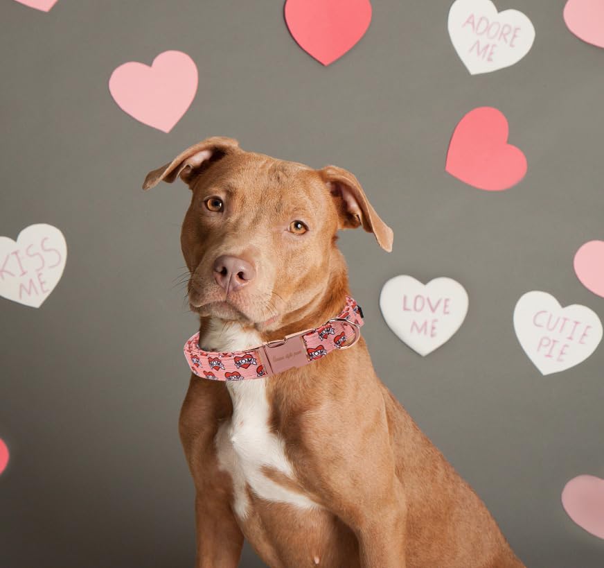 Unique Style Paws Valentine'S Dog Collar Heart Love Collar For Dog Cotton Metal Buckle Dog Collars New