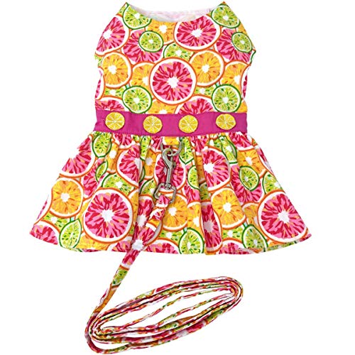 Citrus Slice Dog Dress With Matching Leash (Small)