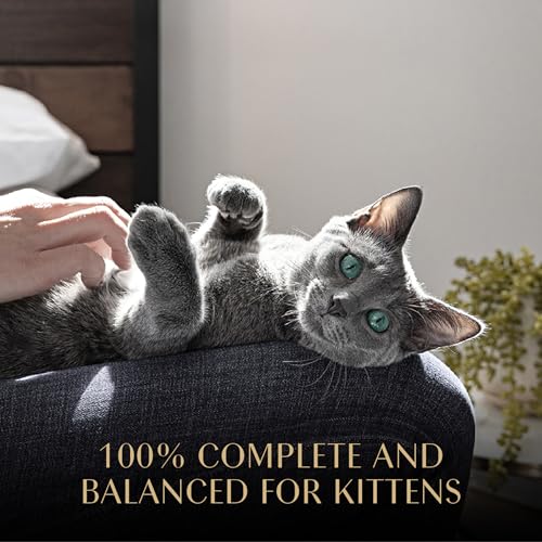 Sheba Perfect Portions Kitten Wet Cat Food Pate Salmon Entree, 2.6 oz. Twin-Pack Trays (24 Count, 48 Servings)