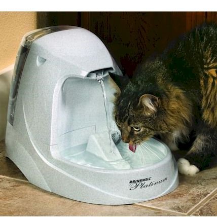 Platinum Pet Fountain4