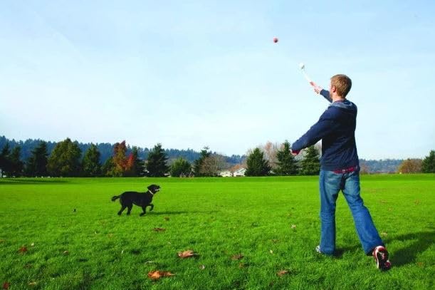 Chuckit! Pro 26Xl Dog Ball Launcher, 26' Length, Xl (3.5' Ball) For Dogs Over 100 Pounds