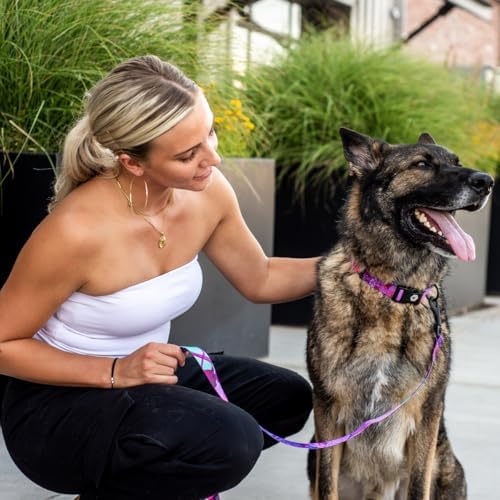 Wolfgang Heavy Duty Martingale Dog Collar With Quick Release Nylon Buckle For Walking & Training, Daydream Print, Small