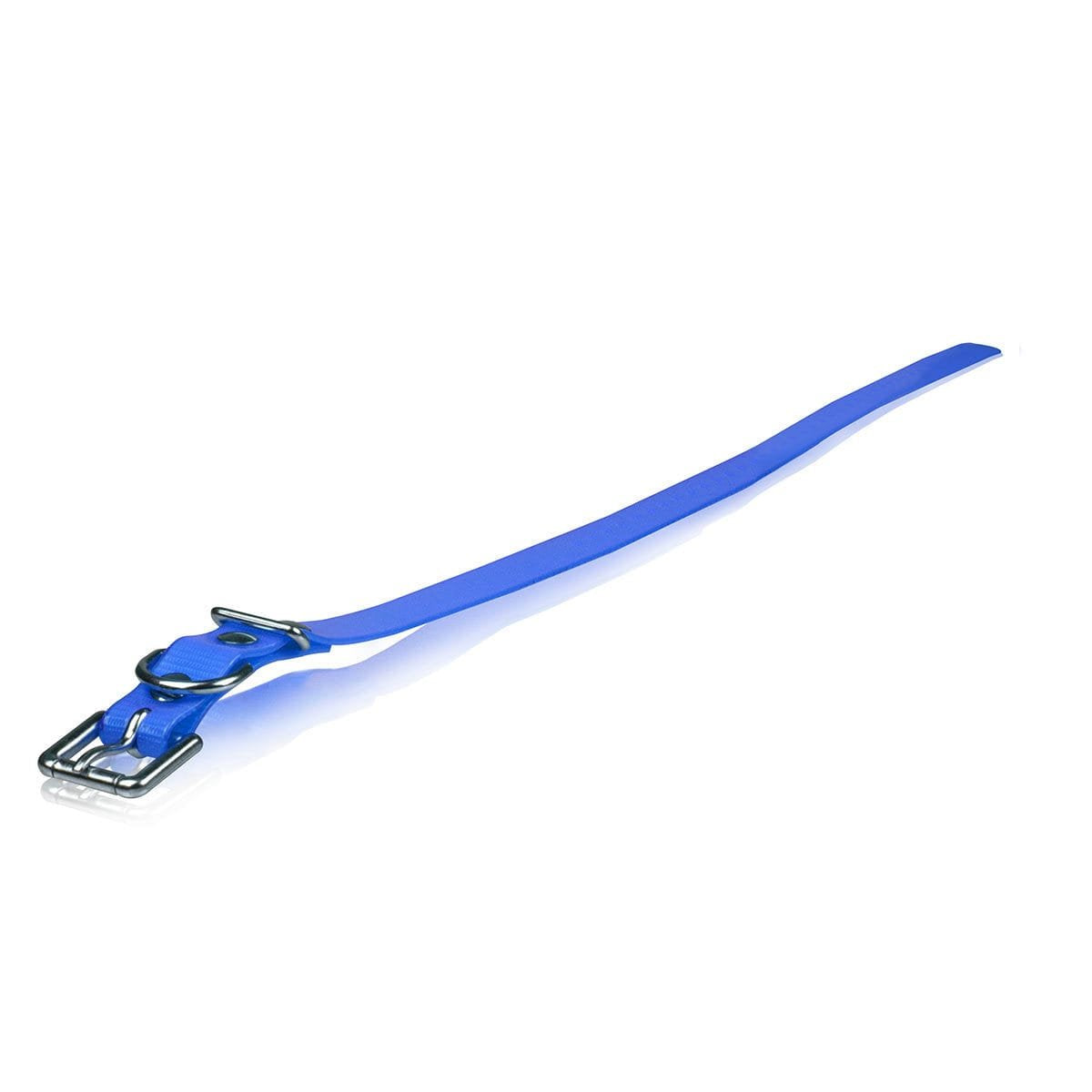 Dog Strap Size: 1' W X 30' D, Color: Roller Buckle