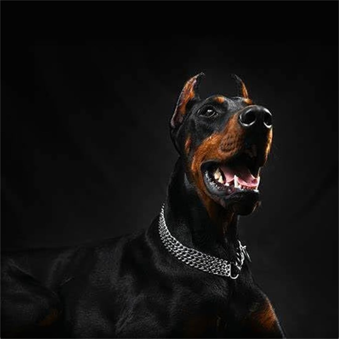 Silver Dog Chain Collar,3 Rows Stainless Steel Chew Proof Cuban Link Dog Collar Metal Martingale Collar Heavy Duty Training Boy