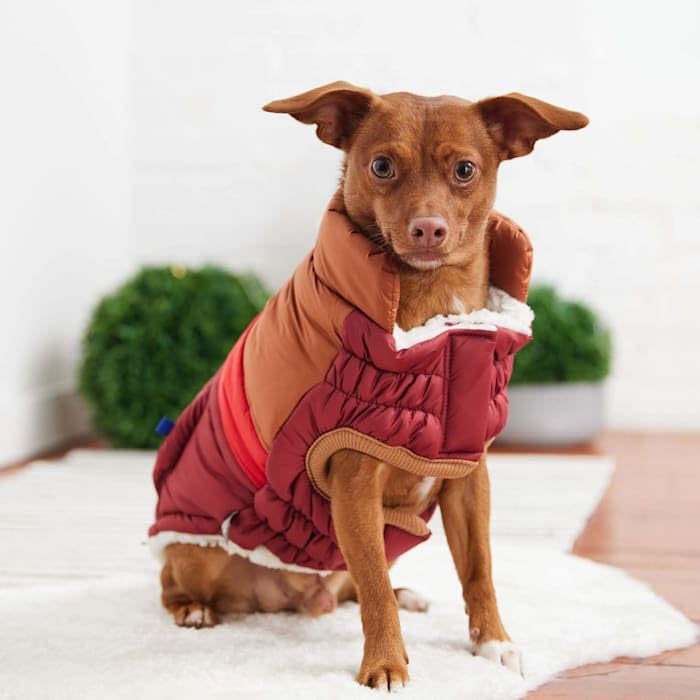 Elasto-Fit Classic Puffer Dog Jacket - Quilted Winter Pet Coat With Adjustable Straps, Waterproof Insulated Dog Outerwear For Small Medium Large Dogs, Easy On Off Design - Dark Red, X-Large