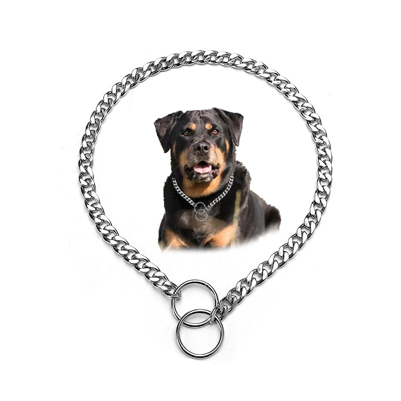 Silver Dog Choke Collar For Large Dogs, Dog Chain Collars Training Metal Link Slip P Chain Heavy Duty Martingale Collar For Xs S