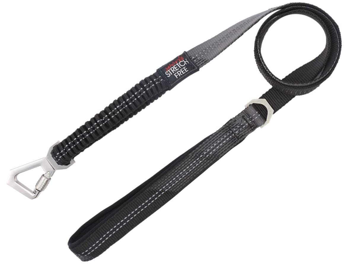 Pet Life Geo-Prene Shock Absorbing Neoprene Reflective Dog Leash And Collar, Sm, Black