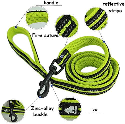 Creation Core Reflective Nylon Dog Collar And Training Leash Set For All Season Padded Durable Adjustable, Blue Xl