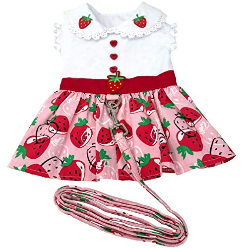 Strawberry Picnic Dog Dress With Matching Leash (Large)