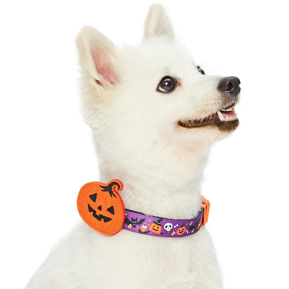 Blueberry Pet 8 Patterns Halloween Pumpkin Party Designer Adjustable Dog Collar with Detachable Decoration, Medium, Neck 14.5''-