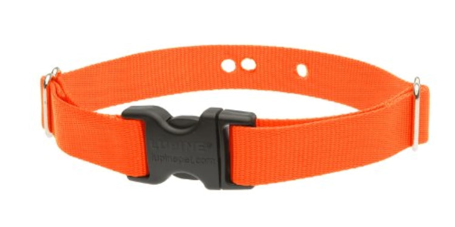 Lupinepet Basics 1' Blaze Orange 16-24' Containment Collar Strap For Medium And Larger Dogs