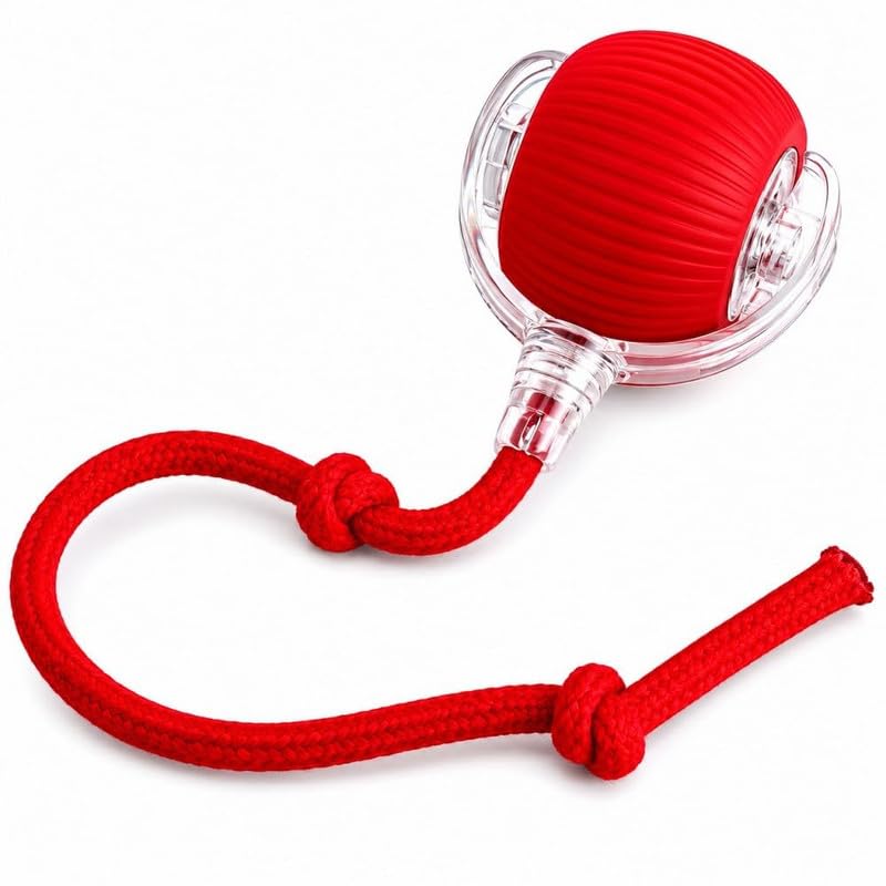 Pet Fun Interactive Cat Toys Ball For Indoor Cats & Kittens | Automatic Smart Rolling Led Ball | Usb Rechargeable Motion Interac