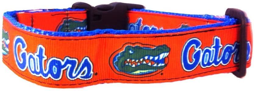 College Dog Collar (Medium, Florida)