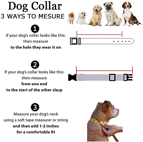 Roses&Poetry Reflective Dog Collar With Gradient Violet, Adjustable Durable Pet Collars For Small Medium Large Dogs (Violet-M