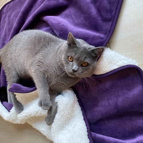 Yaning Waterproof Blanket For Bed Couch Sofa, Soft Liquid Pee Proof Pet Blanket For Dog Puppy Cat, Reversible Sherpa Fleece Furniture Protector (Dark Purple, 30X40 Inches)