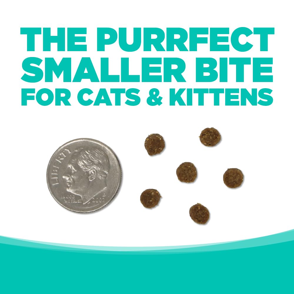 NutriSource Grain Free Cat & Kitten Country Select, 12LB (Pack of 1)