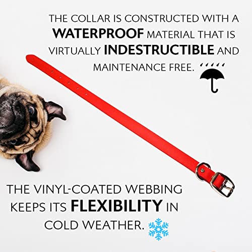Regal Dog Products Large Red Waterproof Dog Collar With Heavy Duty Double Buckle & D Ring | Vinyl Coated, Custom Fit, Adjustable Pet Collars | Comes In Other Sizes For Puppy, Small And Medium Dogs