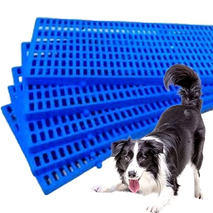 Toms Pet Mall Pet Plastic I Flooring Mat I for Dog/Cat/Rabbit/Goats Multipurpose Floor Mat 36x12 Inch (Blue, Dog Mat Pack of 2 P