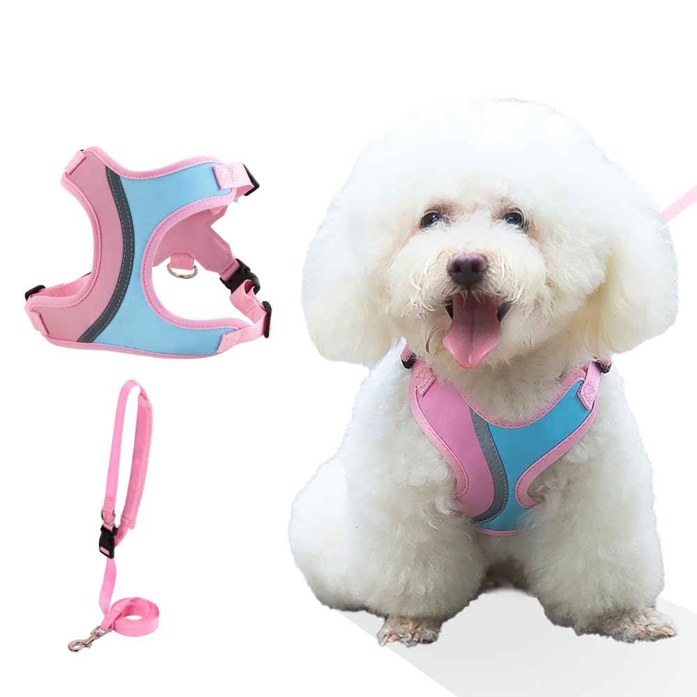 No Pull Dog Harness With Leash Set All Weather Mesh Adjustable Step In Fashion Splicing Escape Proof Vest Harness For Small And 