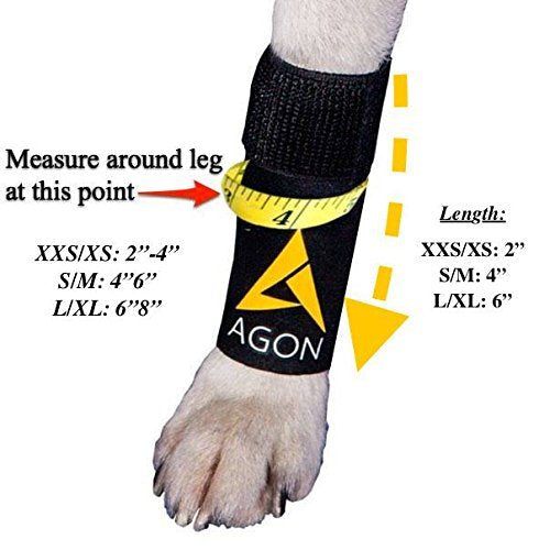AGON Dog Canine Front Leg Brace, Black, Large/X-Large, Smooth Mesh Material, Model agondoglxl, Prevents Injuries and Sprains