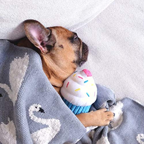 Zippypaws - Birthday Cupcake Squeaky Plush Dog Toy With Soft Stuffing - Blue Cupcake