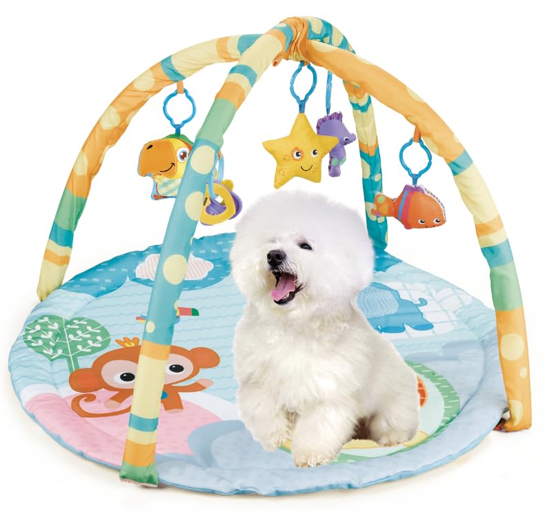 Cutie Patootie Playhouse Puppy Play Gym - Dog & Cat Activity Mat With Squeaky Toys - Interactive Sensory Mat For Pets (Suitable 