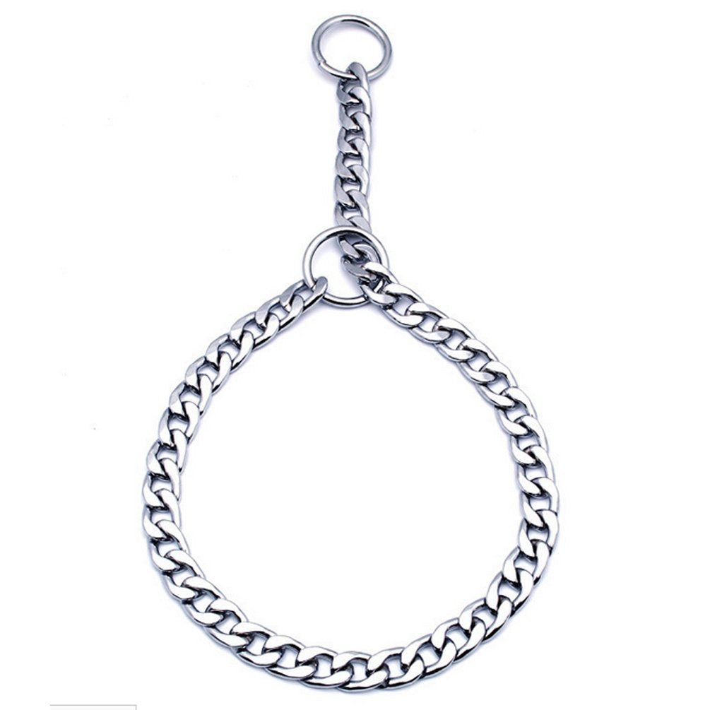 Sgoda Chain Dog Training Choke Collar, 24 In, 3.5 Mm