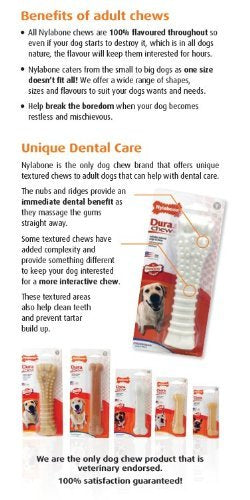 Nylabone 3 Pack Of Durachew Bone Dog Toy, Xl/Giant, Chicken Flavor, Made In The Usa