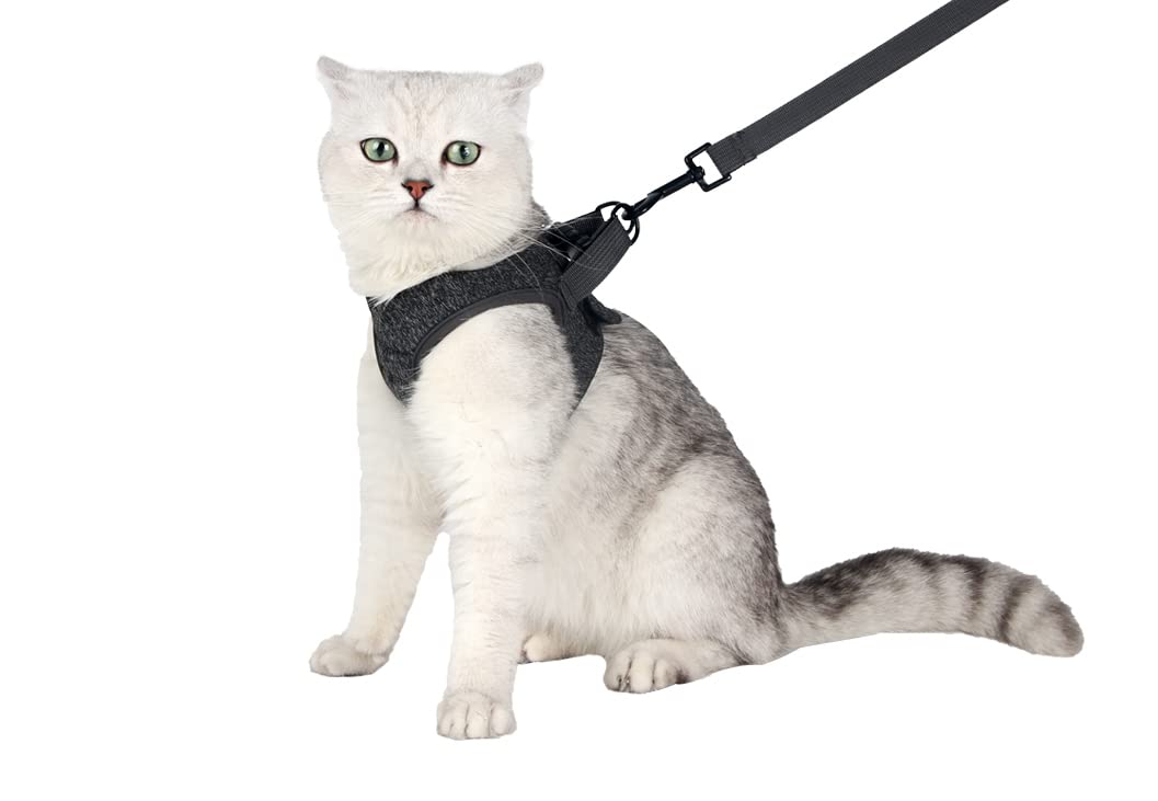 HEYWEAN Cat Harness and Leash - Ultra Light Escape Proof Kitten Collar Cat Walking Jacket with Running Cushioning Soft and Comfo