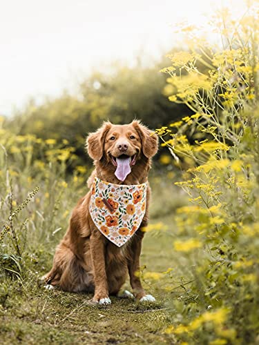 Elegant Little Tail Dog Bandanas - 1Pack Floral Print Washable Dog Scarf Female Square Dog Bib Kerchief Scarf Adjustable Pet Bandana For Medium Large Dogs