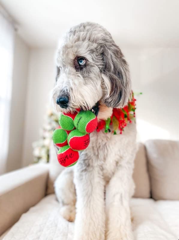 Midlee Merry Christmas Dog Tennis Balls (Regular)