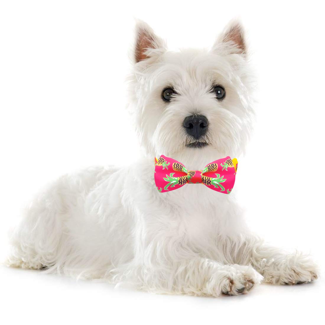 Azuza Pineapple Bowtie Dog Collar, Soft & Comfy Dog Collar With Bow, Fun Patterns & Bright Color For Extra Small Dogs