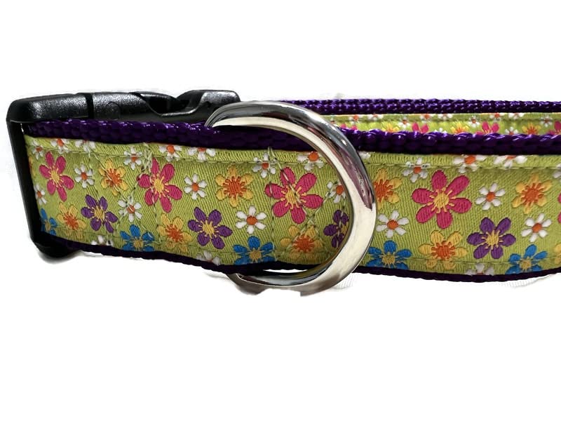Spring Dog Collar, Caninedesign, Valentine, St Patricks Day, Easter, 1 Inch Wide, Adjustable, Nylon, Medium And Large (Gerber Da