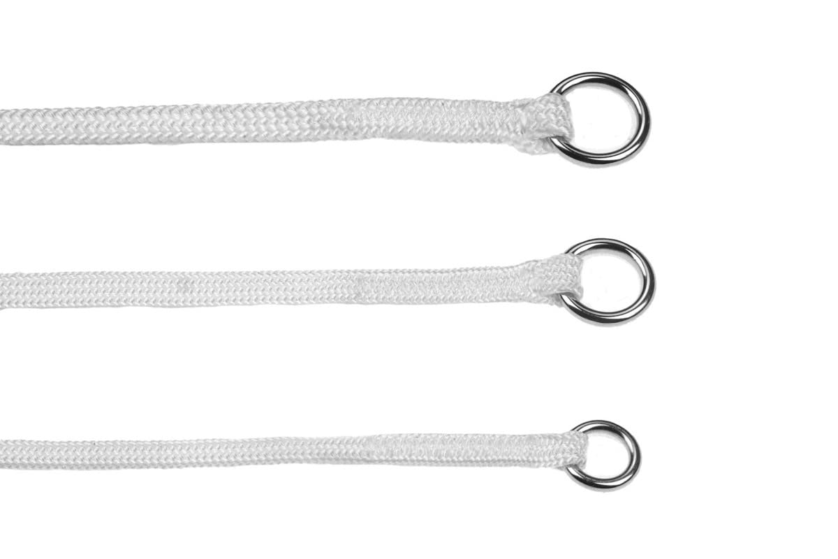 Show Slip Collar - Conformation Dog Collar - Perfect for Small Pups to Large Dogs - Home Designer Dog Collar for Dog Shows for B