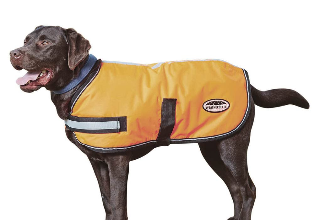 Weatherbeeta Comfitec Reflective Parka 300D Deluxe Dog Coat, Orange, 28''
