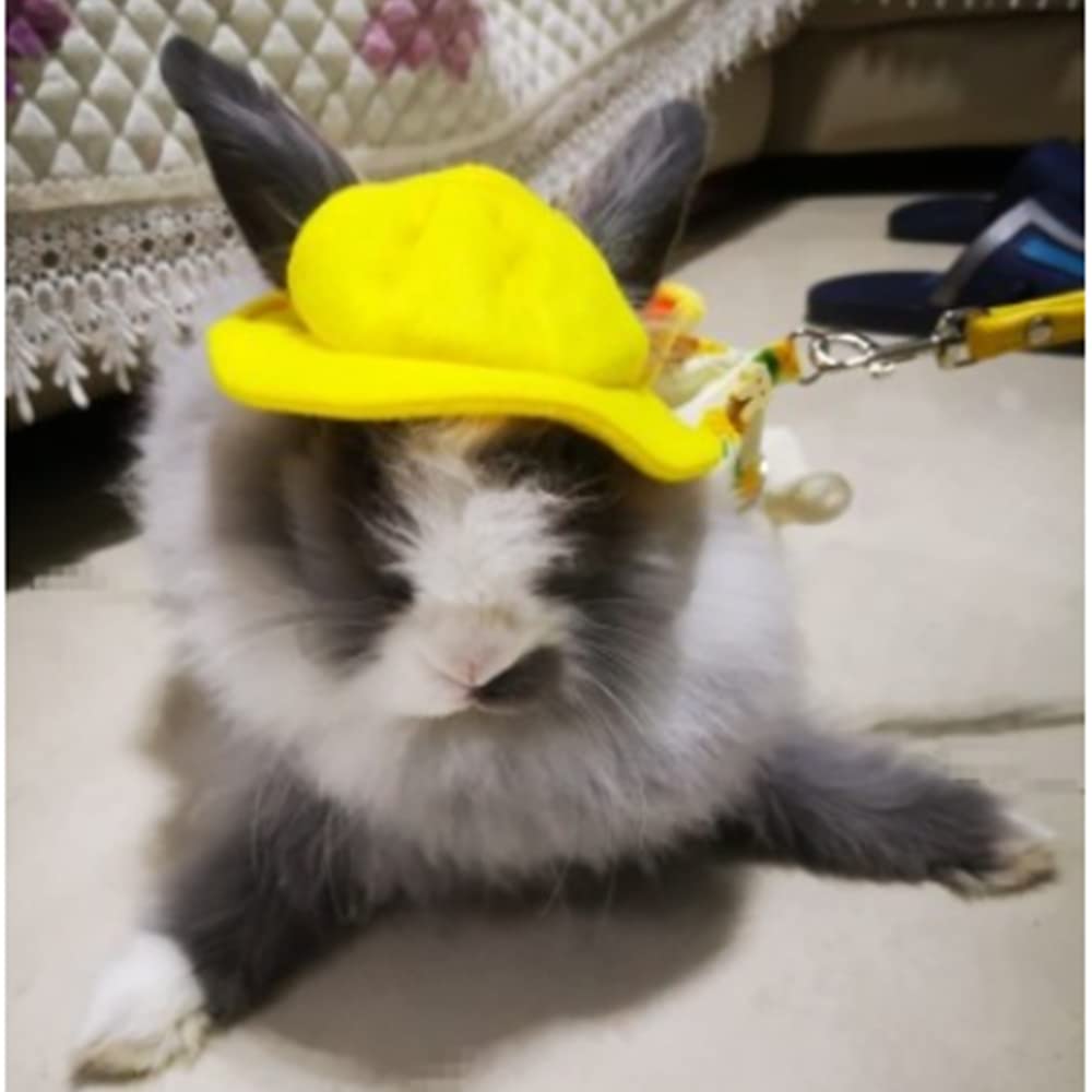 Aniac Funny Cat Hat For Cat Xxs Dog Sun Hat With Ears Hole Rabbit Outfit For Bunny Mini Sombrero Puppy Hat Party Costume Head Ac