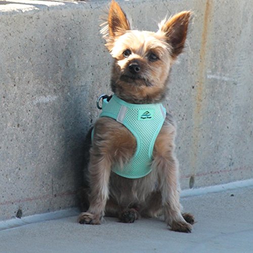 Doggie Design American River Step In Wrap Up Ultra Choke-Free Mesh Dog Harness with Safe Night Walking Reflective Strips (Soft Mesh Polyester, Machine Wash and Line Dry) (2XL/3XL, Teal)