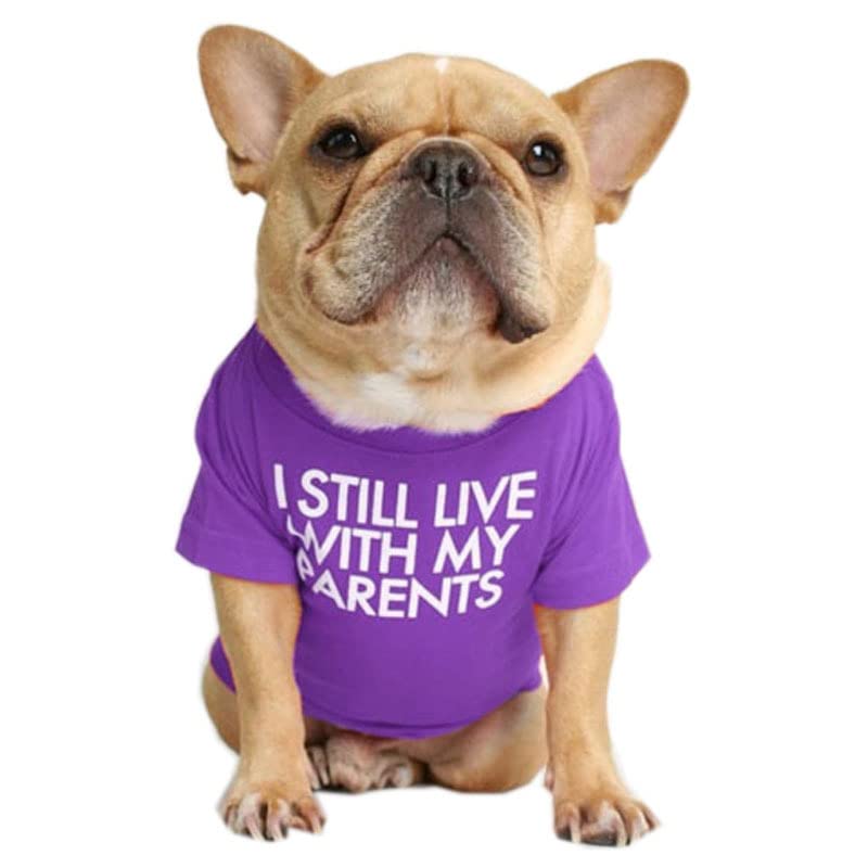 Kutkut Pet Dog Breathable Stretchy Round Neck T-Shirt I Still Live With My Parents Pet Dogs Cats Dog Cooling Vest T-Shirts Soft 