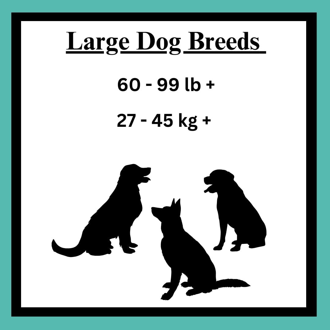 AccessiPets Dog Treats Bundles for All Sized Dogs, Soft Chews Jerky Treat Variety Pack Bundle with 1 Waste Bag Roll (1 lb, Chick