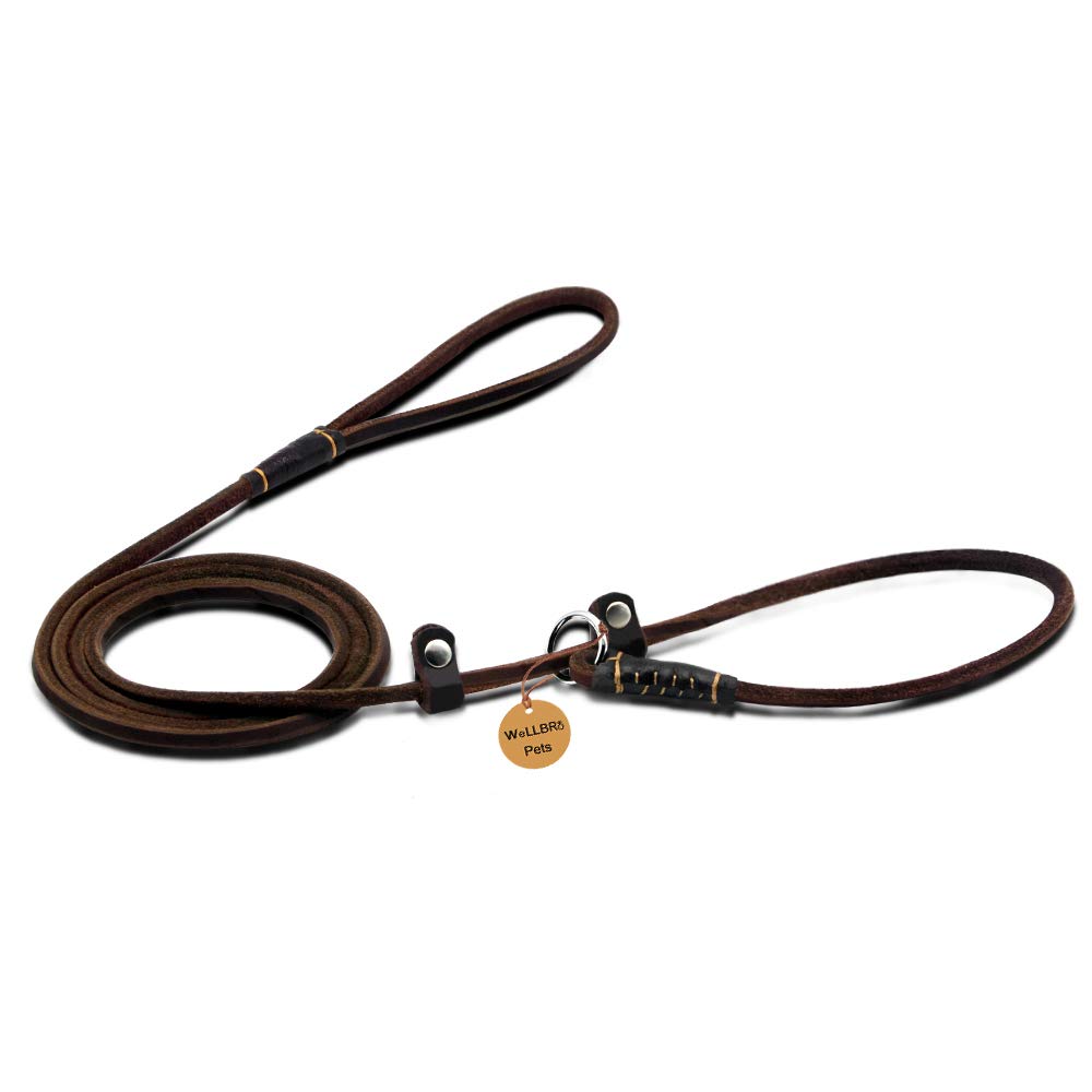 Wellbro Real Leather Slip Dog Leash, Adjustable 160cm, Soft & Slim for Puppies, Brown, Model 11289488