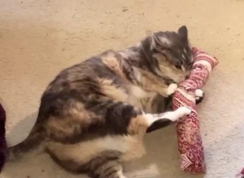 West Coast Pet Products 15'' Catnip Cat Kicker Toys/Kitty Kick Sticks/Cat-Nip Kick Sticks (Ruby Red) (Kickers Filled With 1 Oz P