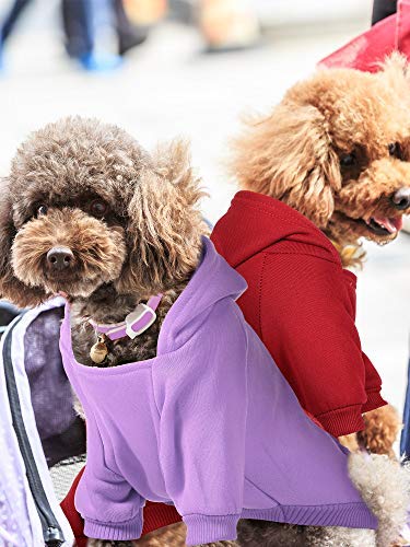 Syhood 4-Piece Small Dog Sweater Set - Dog Hoodie Clothes With Hat For Small Dogs, Chihuahua, Winter Warm Hoodies & Coat With Po