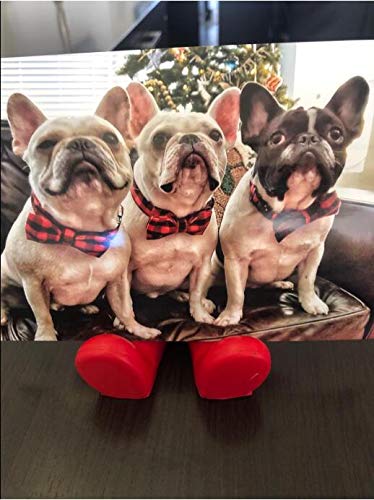 Unique Style Paws Pet Soft &Comfy Bowtie Dog Collar And Cat Collar Pet Gift For Dogs And Cats 6 Size And 7 Patterns