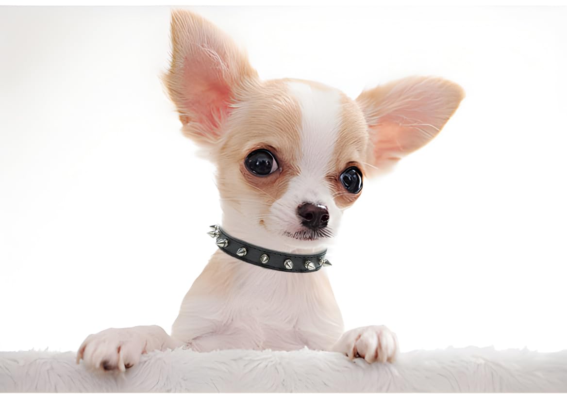 Spiked Puppy Dog Collar Soft Pu Leather Mushrooms Rivet Spike Stud Studded Cat Collars Adjustable For Girl Boy Pet Kitten Black