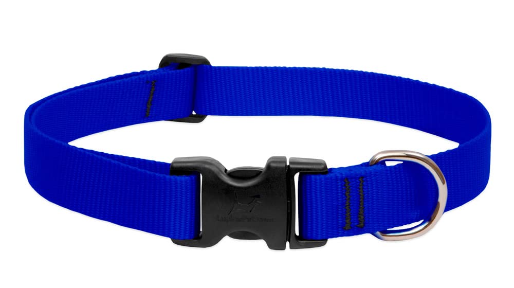 Lupinepet Basics 1' Blue 12-20' Adjustable Collar For Medium And Larger Dogs