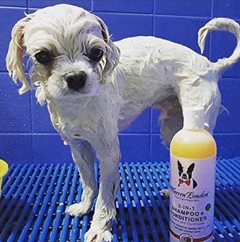 Warren London 2 In1 Pet Shampoo And Conditioner For Dogs, Puppys, & Cats | Best Dog Shampoo And Conditioner For Dry Itchy Skin |